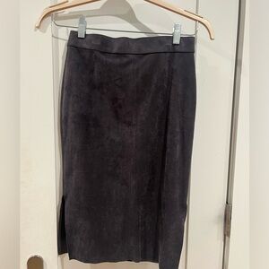 wilfred free suede skirt from aritzia